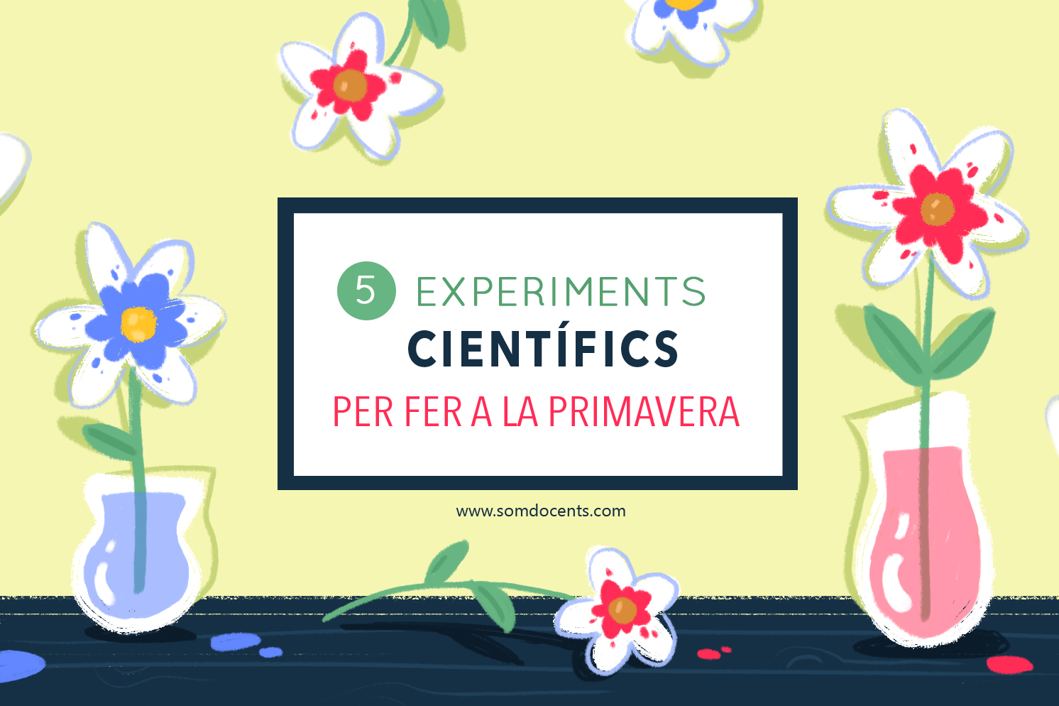 Experiments ciències SD