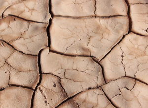 sequía e1548758194970 - El canvi climàtic i com ens afecta