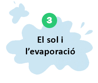 SD_7_dades_curioses_sobre_el_cicle_de_l_aigua 03