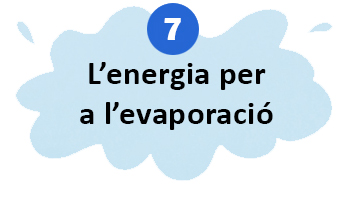 SD_7_dades_curioses_sobre_el_cicle_de_l_aigua 07