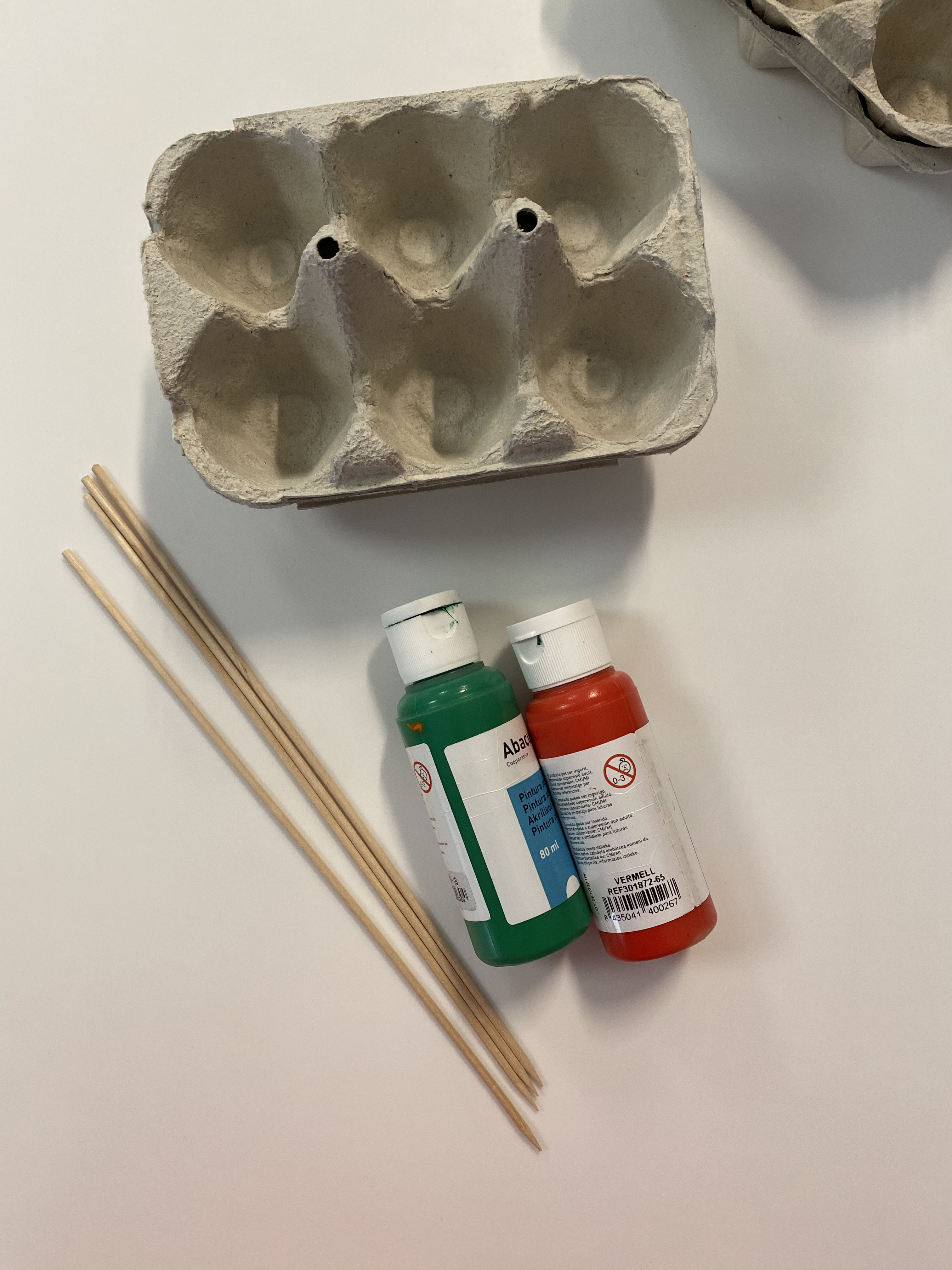 00 - Rosa de Sant Jordi