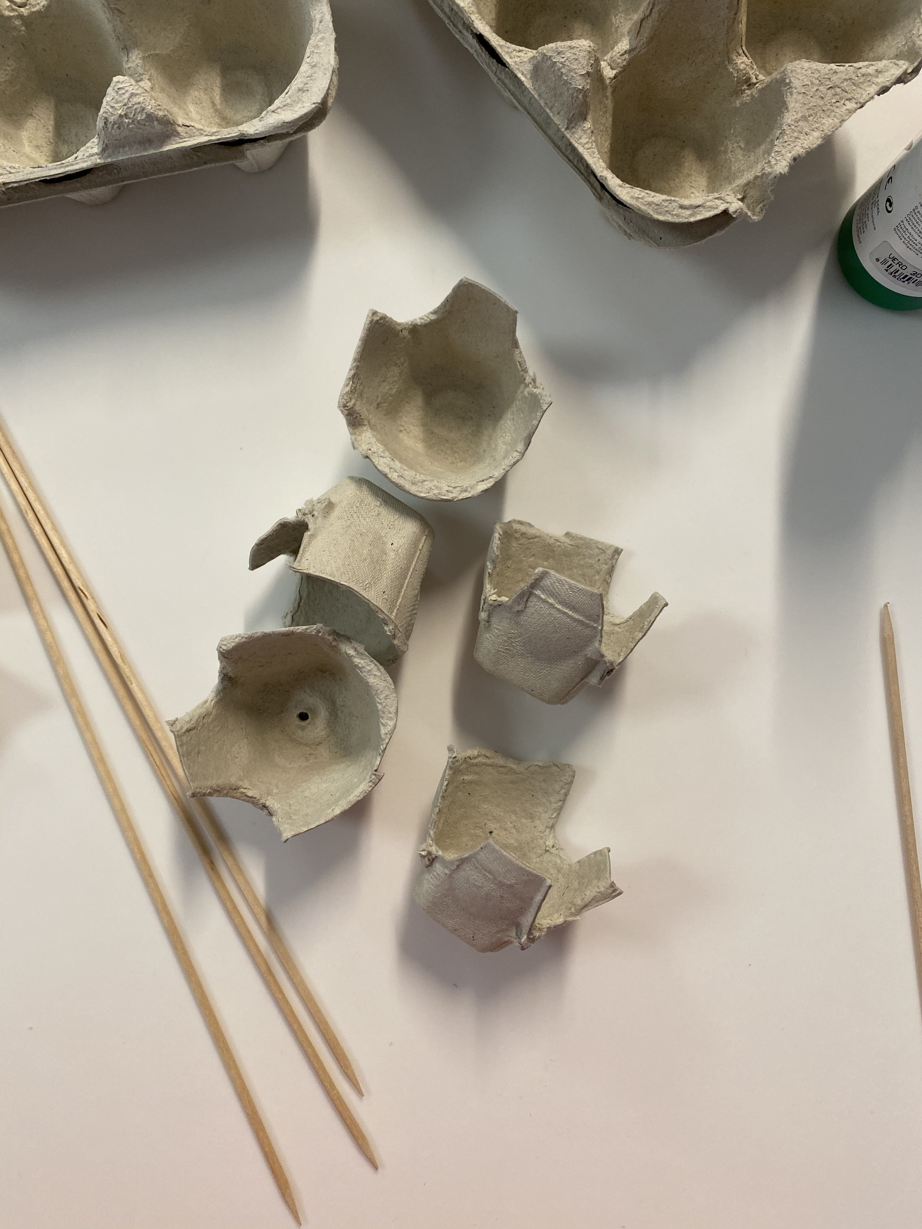 01 - Rosa de Sant Jordi