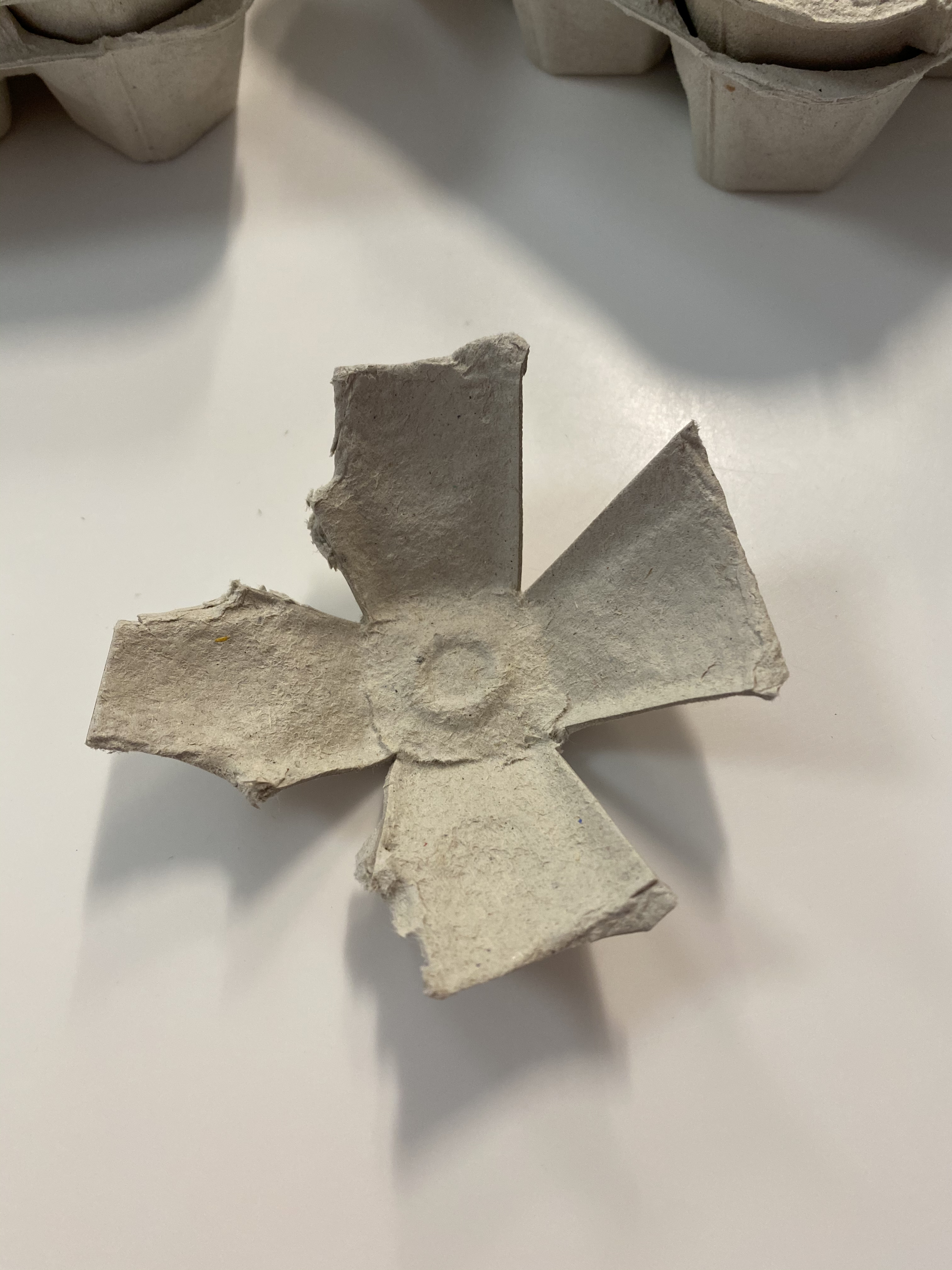 02 1 - Rosa de Sant Jordi