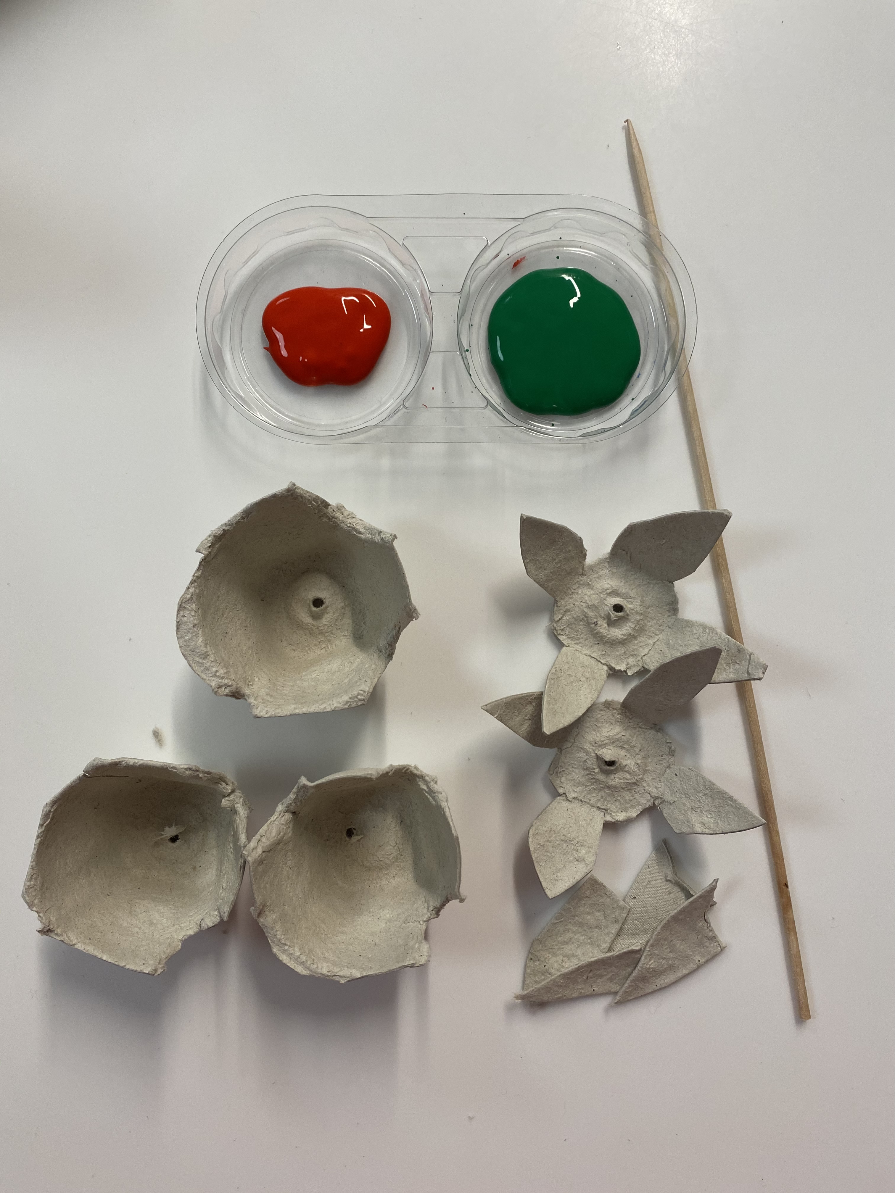 04 - Rosa de Sant Jordi