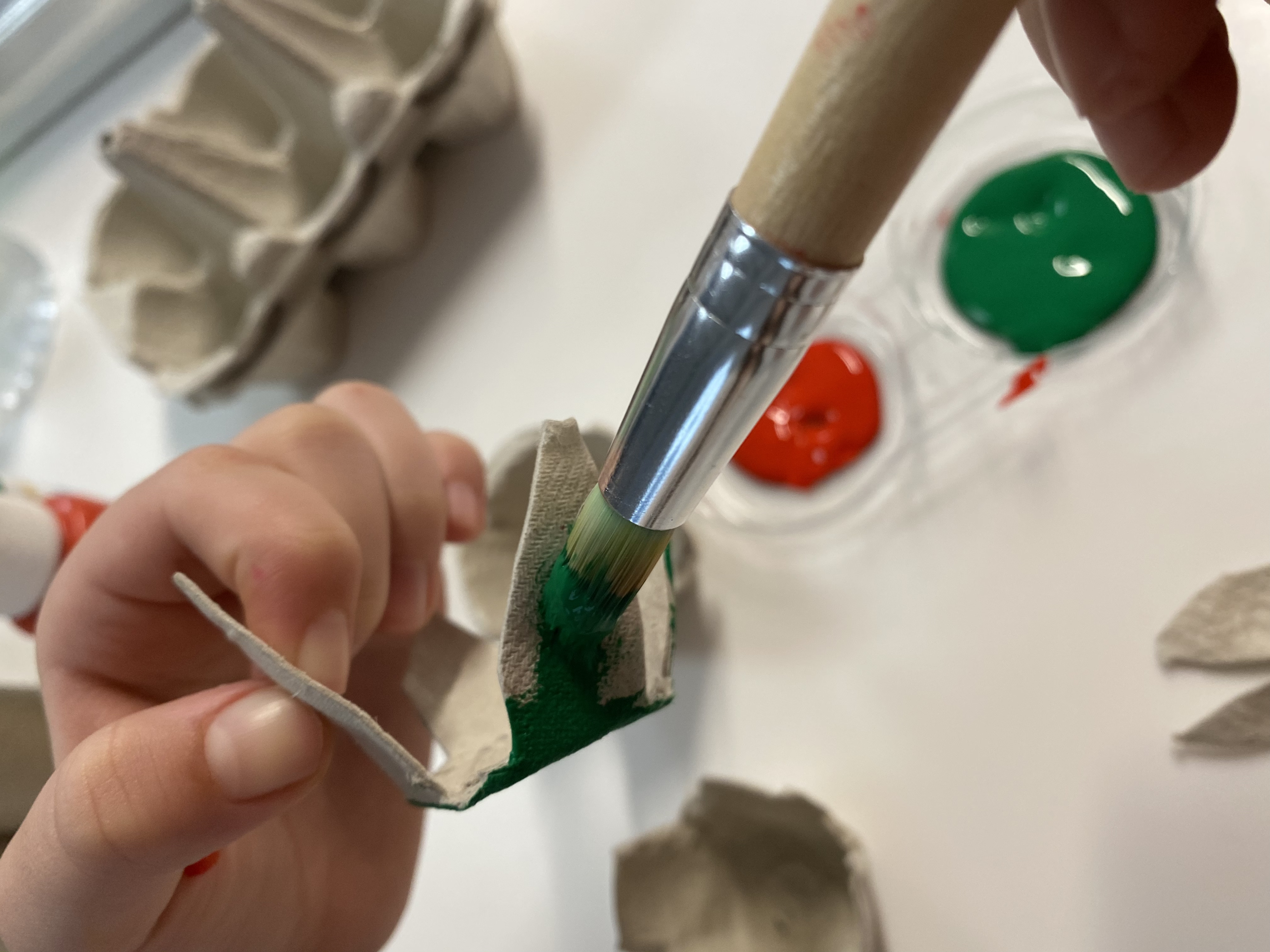 06 - Rosa de Sant Jordi