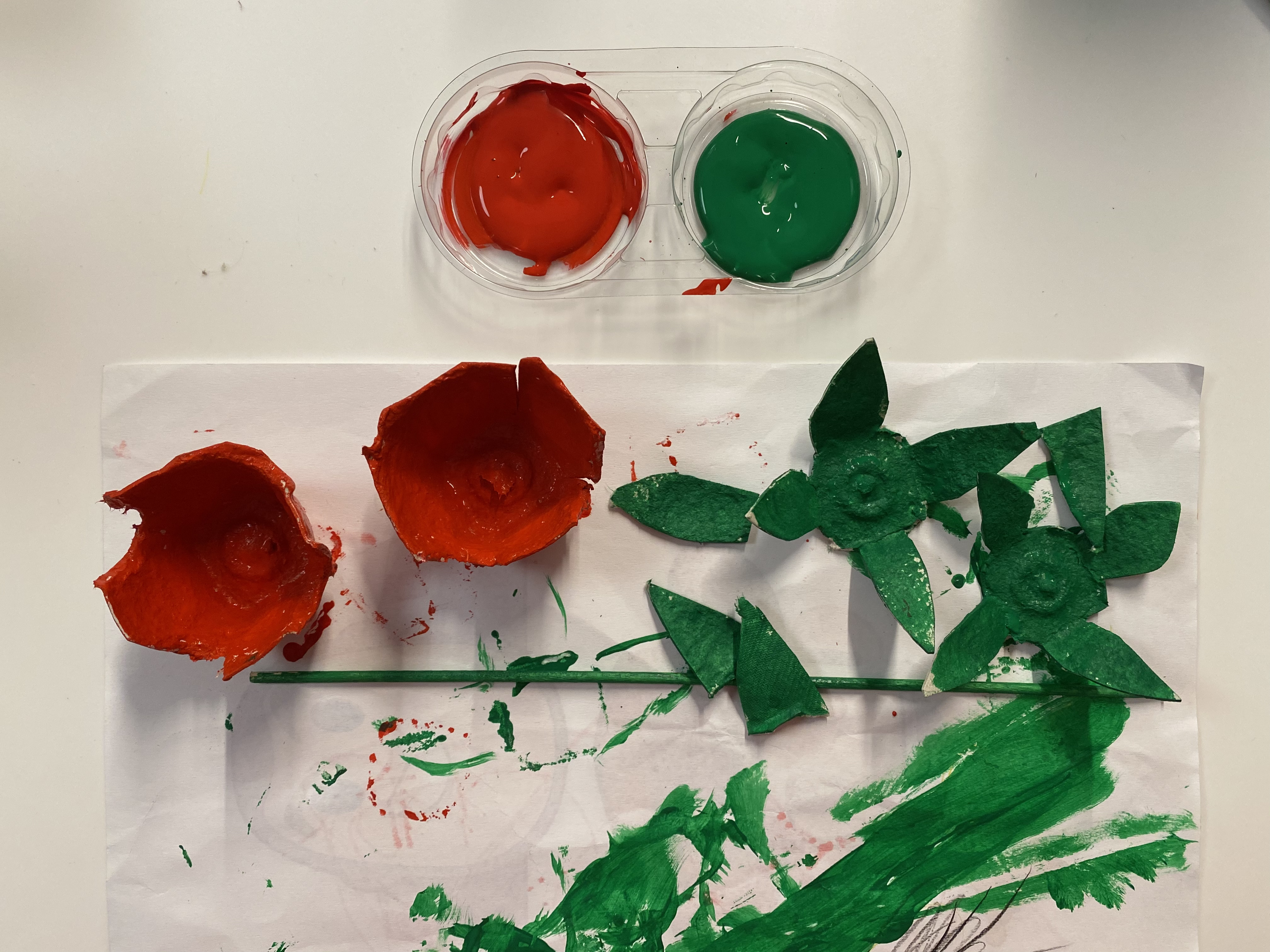 07 - Rosa de Sant Jordi