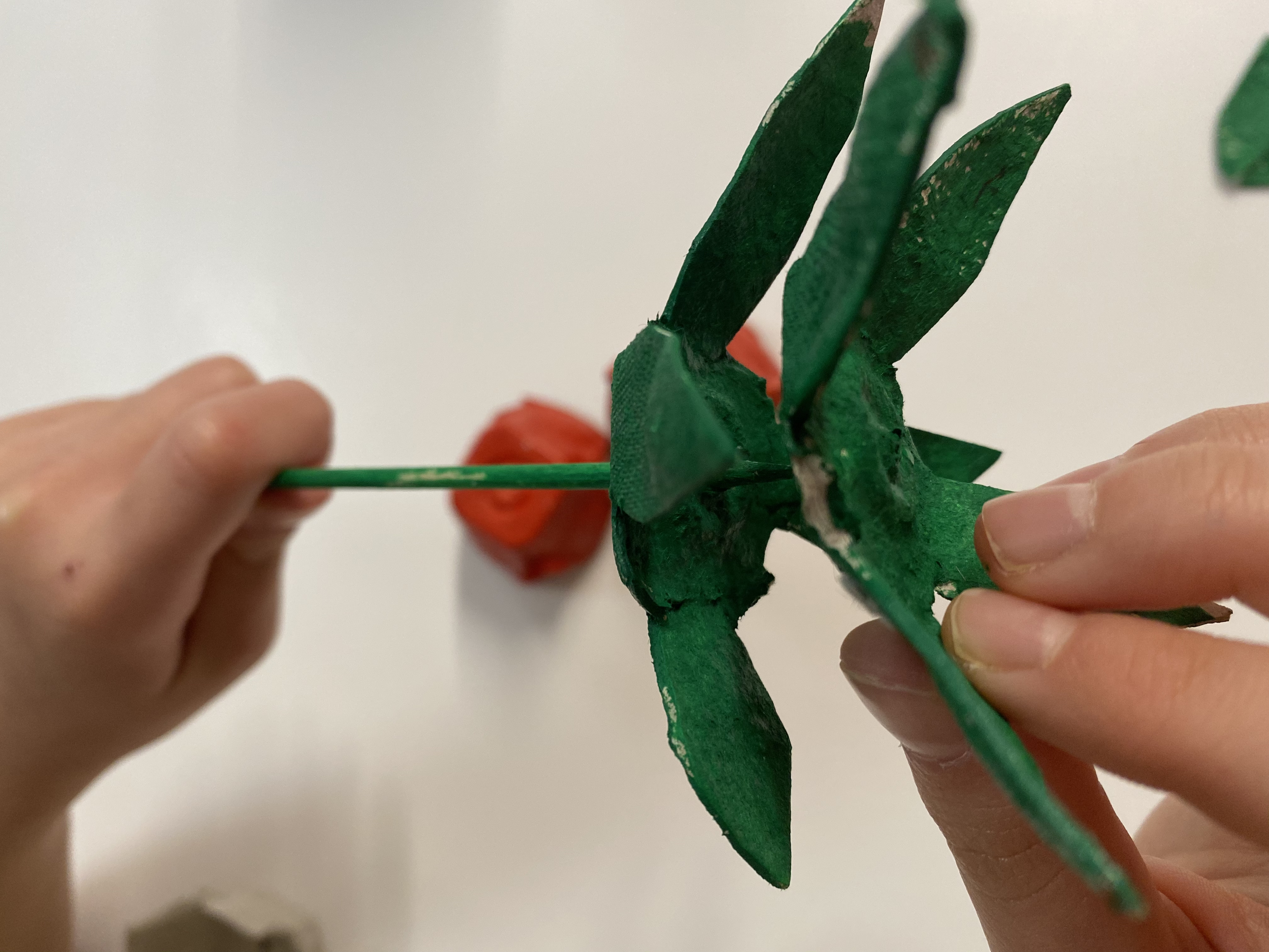 08 1 - Rosa de Sant Jordi