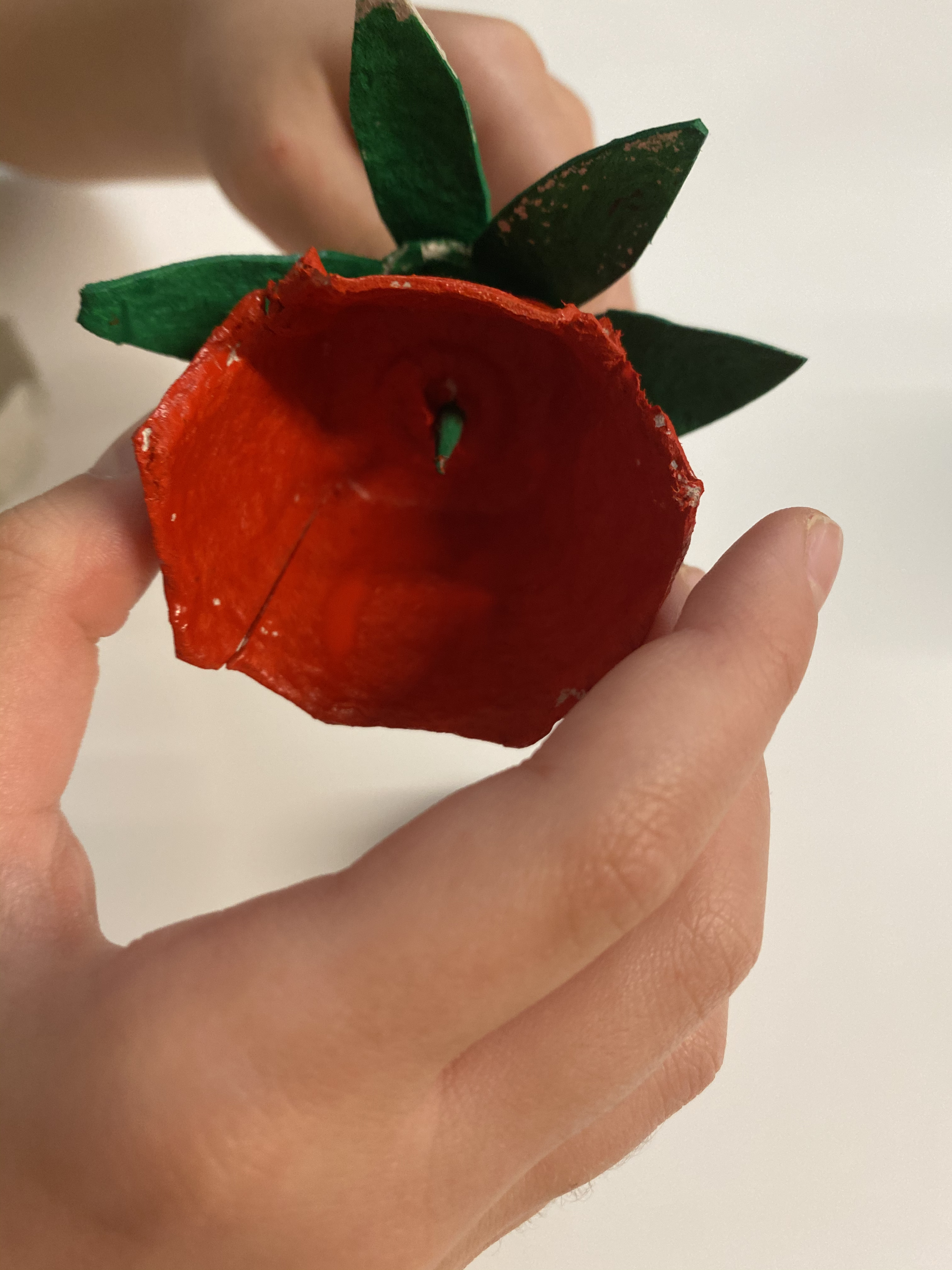 09 1 - Rosa de Sant Jordi