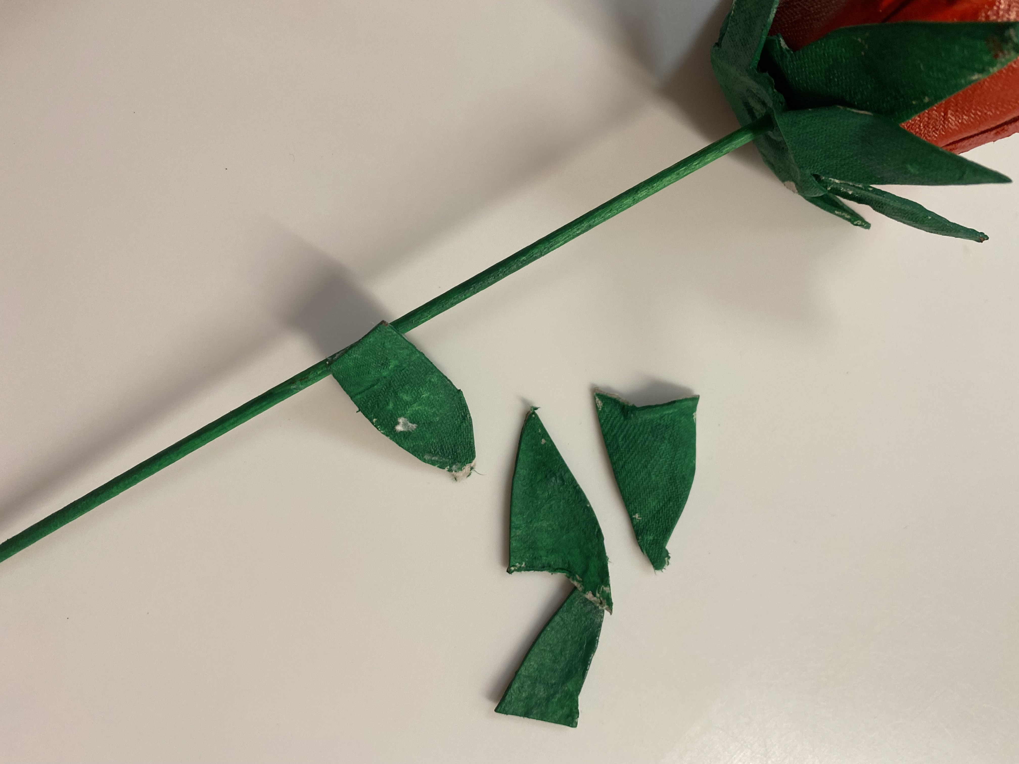 10 - Rosa de Sant Jordi